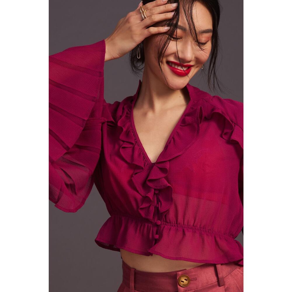 Anthropologie Sheer Long Sleeve Blouse for Women - New Small - Picture 2 of 6